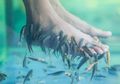 Pria Ini Tak Cuci Kaki Selama 10 Tahun, Saat Relaksasi Dengan Media Spa Ikan, Dalam Waktu Singkat Semua Ikan Dalam Kolam Mati