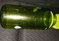 Keluarga Ini Terjebak di Ketinggian saat Tak Ada Orang Sama Sekali, Berkat Surat Dalam Botol Mereka Akhirnya Selamat dari Maut