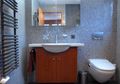 Bau dan Binatang Kecil Masuk ke Toilet? Bisa Jadi 2 Benda Ini Kondisinya Tak Baik, Atasi Segera!