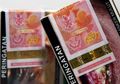 Pemerintah Putuskan Cukai Rokok Naik, Jumlah Perokok Bakal Turun Drastis? Ini Saran Berhenti Merokok Dari Pakar