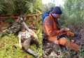 Bak Bumi dan Langit, Aparat Kelelahan Susah Payah Padamkan Api Karhutla, Kepala Dinas Kesehatan Kalteng: Para Pembakar Lahan Tidur Nyenyak di Kasur Bersama Anak Istri