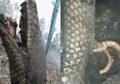 Bukan Hanya Ular Raksasa, Petugas Juga Temukan Ular Berkaki Tiga saat Padamkan Karhulta di Belantara Riau