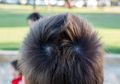 Fakta atau Mitos? Anak dengan 2 Unyeng-unyeng Punya Sikap Nakal? Cek dalam 5 Fakta Tentang Unyeng-unyeng di Kepala Ini Yuk