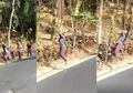 Bergelantungan di Pohon Layaknya Tarzan, Emak-Emak Ini Jatuh Hingga Masuk Comberan