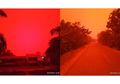Heboh Beredar Video Langit Merah di Jambi, Diduga karena Kebakaran Hutan dan Lahan