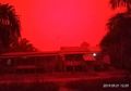 Kebakaran Hutan Sebabkan Fenomena Langit Berwarna Merah di Jambi