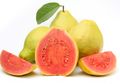 Kaya Vitamin C, Benarkah Jambu Biji Dapat Redakan Tekanan Darah Tinggi?