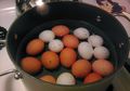 Telur Makanan Sejuta Umat Bergizi Tinggi, Tapi Jika Salah Memasaknya Malah Jadi Sumber Penyakit