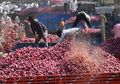Harga Bawang Merah Melonjak Tajam Menyalip Harga Apel, Apa yang Sedang Terjadi di India?