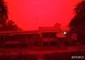 Pukul 12 Siang Langit Jambi Menjadi Merah, Inilah Racun Kimia Asap Karhutla yang Sedang Terjadi di Sumatera