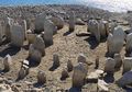 Terdapat Ukiran Ular di 'Stonehenge' Berusia 4.000 Tahun yang Muncul dari Dasar Air Ini, Apa Maknanya?