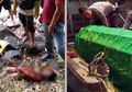 Sadis! Anak Angkat yang Masih Berumur 5 Tahun Dirudapaksa oleh Kakak-kakaknya, Ibunya Malah Mencekik Sampai Mati