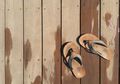 Tafsir Mimpi Sandal Putus, Sering Dihubungkan dengan Pertanda Buruk?