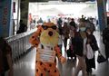 Bingung Mencari Jalan Pulang, Seekor Cheetah Berkeliaran di Sejumlah Stasiun Jakarta