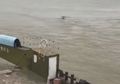 Horor, Bisa Berenang Menyerupai Ular, 'Makhluk' Sepanjang 20 Meter Ini Pernah Muncul ke Permukaan Sungai, Makhluk Apakah Sebenarnya?