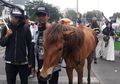 Tuntun Kuda dari Bogor ke Jakarta, Remaja Pria Ini Tempuh Perjalanan Hampir Sehari Semalam Demi Ikut Aksi Mujahid 212, Teman-temannya Mundur Tak Sanggup Sampai Tempat Tujuan