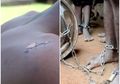 Kisah Korban Selamat dari Sekolah 'Rumah Penyiksaan' di Nigeria, Dibiarkan Kelaparan dan Digantung di Langit-langit
