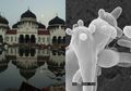 Wilayah yang Tersapu Tsunami Aceh dalam Bahaya, Jamur Patogen Ini Diduga Sedang Berevolusi, Bisa Ciptakan Wabah Mematikan dengan Tingkat Kematian yang Tinggi