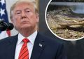 Rencana Gila Donald Trump, Ingin Kelilingi Amerika dengan Parit Berisi Buaya dan Ular Berbisa Demi Menghindari Imigran Ilegal