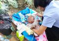 Kisah Ajaib Bayi yang Dibuang Hingga Dikerubuti Semut, Tapi Selamat dari Maut Karena Hal Ini