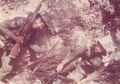 Cerita 'Kegilaan' Sniper Legendaris Indonesia yang Bikin Musuh Kabur Ketakutan, Tak Gentar Meski Hadapi Musuh Hanya dalam Jarak 50 Meter