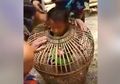 Terperangkap di Kurungan Ayam, Kepala Bocah Ini Diacungi Golok oleh Seorang Kakek, Kejadiannya Sungguh Mendebarkan