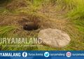 Mengambil Air di Sumur Tua, Warga Terkejut Temukan Hal Mengerikan di Dalamnya, Bikin Geger Satu Kampung