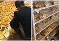 Geledah Rumah Mantan Walikota, Polisi Temukan 'Gunung Emas' Seberat 13,5 Ton dan Uang Tunai Sebanyak Rp 525 Triliun,Ternyata Disembunyikan di Ruang Tak Terduga ini!