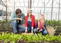 Ingin Anak Doyan Makan Sayur? Yuk Ajari Berkebun Sejak Dini, Begini Cara Mudahnya