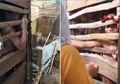 Kisah Pilu Bocah 12 Tahun Dikandang Orang Tuanya Tanpa Sehelai Benang Hingga Meronta-ronta, Sambil Trenyuh Orang Tuanya Hanya Ungkapkan Hal Ini