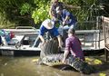 Bekerja Sebagai 'Penakluk Hewan Buas', Pria Ini Tak Gentar Hidup Serumah dengan 7 Ular Piton dan Buaya Sepanjang 4 Meter
