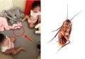 Ngeri, Kedua Balita Ini Asyik Makan Kecoa Hidup-hidup Saat Ditinggal Sang Ibu Bersihkan Rumah