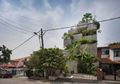 Siapa Bilang Berkebun di Rumah Mustahil? Tilik Inspirasi Rumah Hijau Ini