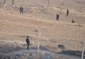 Inilah Ladang Eksekusi, Area Eksekusi di Korea Utara Untuk Mereka yang Ketahuan Mencuri