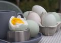 Ingin Bertahan Lama di Tempat Tidur Bersama Pasangan Anda, Coba Minum Ramuan Kuning Telur Bebek dan Gula Ini, Rasakan Sendiri Efeknya yang Luar Biasa!