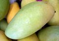 Gunakan Mangga untuk Lindungi Kulit dari Kerusakan Akibat Radiasi Sinar Ultraviolet, Begini Caranya Menggunakannya!