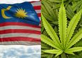 Malaysia Dikabarkan akan Melegalkan Ganja untuk Keperluan Pengobatan