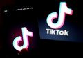 Tentara AS Larang Prajuritnya Main TikTok Karena Takut Dimata-matai