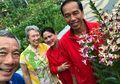 Anggrek Dendrobium Bernama Iriana Jokowi Tumbuh di Singapore Botanic Gardens, Seperti Apa?