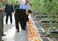 Saking Khawatirnya dengan Pembelot, Kini Kim Jong-Un Mengidap Fobia Makanan!