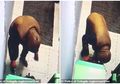 Niatnya Bobol Mesin ATM, Pria Ini Justru Tewas Secara Mengenaskan Akibat Melakukan 'Kebodohan' Ini