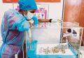 Selamatkan 200 Anjing dengan Uang Pribadinya, Dokter Ini Justru 'Dimusuhi' Tetangganya, Ini Alasannya