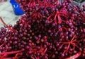 Parijoto, Buah Peninggalan Sunan Muria yang Tingkatkan Kesuburan dan Buat Wajah Anak Jadi Tampan atau Cantik
