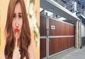 Rumah Ayu Ting Ting di Gang Sempit, Walau Mewah Risiko Kesehatan Hunian di Padat Penduduk; TBC Hingga Leptospirosis, Ini Faktanya