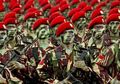 Bukan Cuma Bertempur, Pasukan Khusus Indonesia Ini Juga Hebat dalam Melatih Militer Negara Lain, Sniper Brunei Darusallam Mendadak Bisa Bikin Keok Malaysia