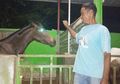Cerita Sunardi, Kusir Kuda yang Sudah Dipercaya Jokowi di Setiap Acara Penting, Siap Siagakan Delmannya untuk Pelantikan Periode Kedua, Diundangkah?