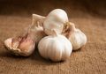 Tak Cuma Jadi Obat Alami, Menaruh Bawang Putih di Jendela Bisa Bikin Hal Luar Biasa Ini Akan Terjadi Dalam Sekejap Pada Rumah!