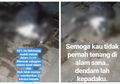 Viral Video Kucing Dicekoki Ciu Bekonang Hingga Mati Kejang-kejang