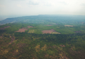 Kota Kuno Peninggalan Kekaisaran Khmer Ditemukan di Hutan Kamboja