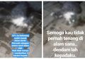Update Hasil Otopsi Kucing yang Tewas Dicekoki Ciu, Terbukti Ada Iritasi Organ karena Alkohol